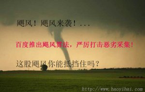 百度推出飓风算法，严厉打击恶劣采集!这股飓风你能抵挡住吗？