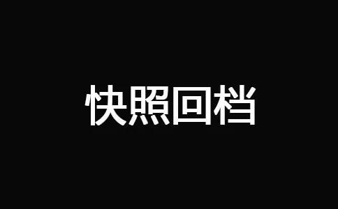 十堰网站优化-快照回档