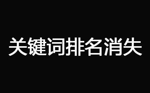 十堰网站优化-关键词排名消失
